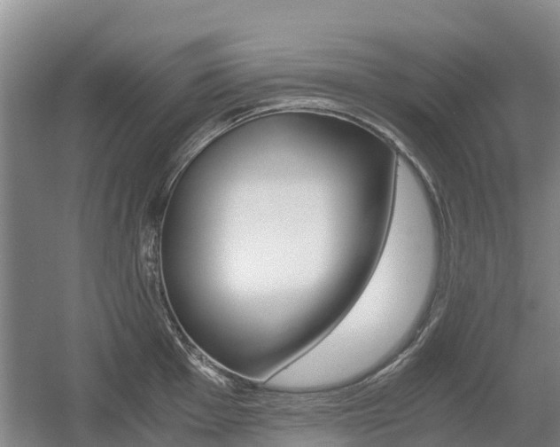 X0000055981001200508190724