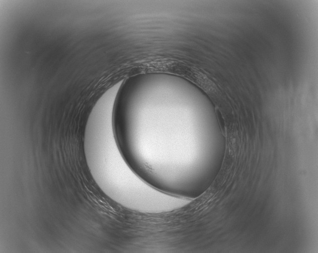 X0000055981010200508190723