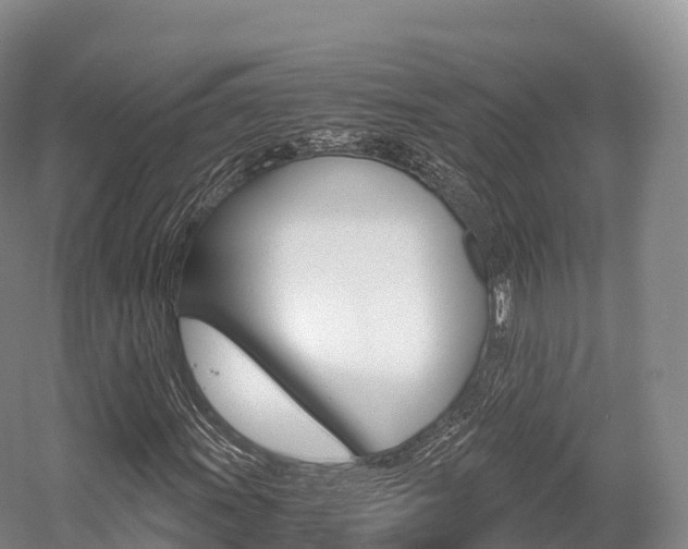 X0000055981011200508190723