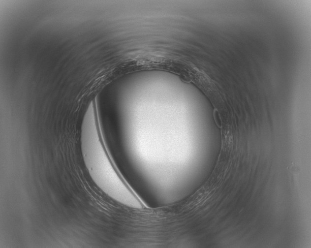 X0000055981012200508190723