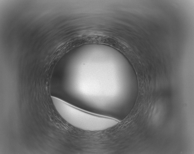 X0000055981013200508190723