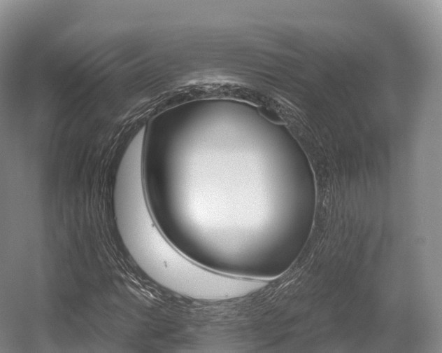 X0000055981014200508190723