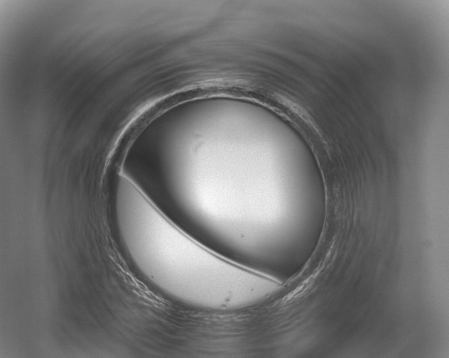X0000055981021200508190724