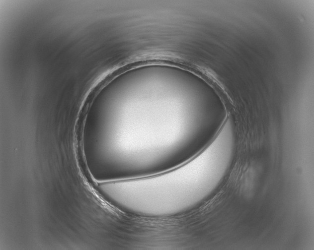 X0000055981024200508190724