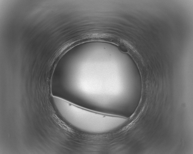 X0000055981025200508190724