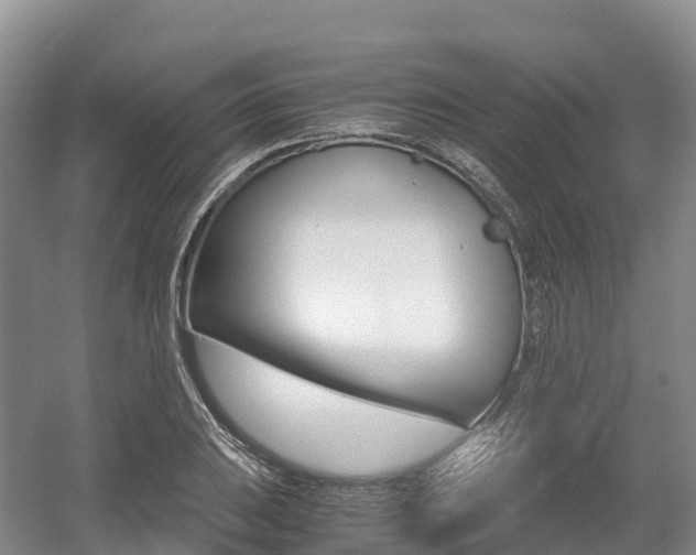 X0000055981031200508190724