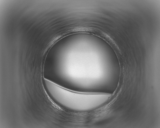 X0000055981033200508190724