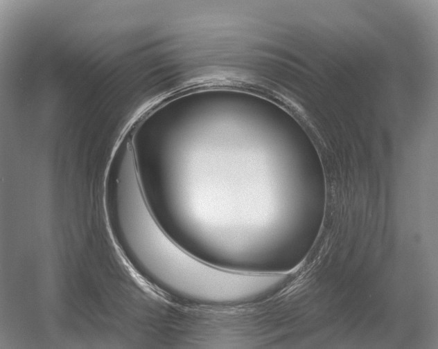 X0000055981034200508190724