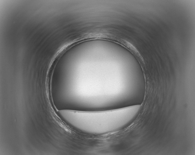 X0000055981035200508190724