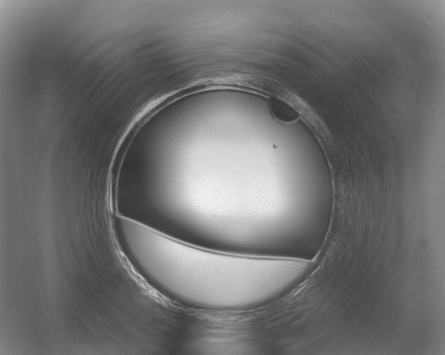X0000055981036200508190724