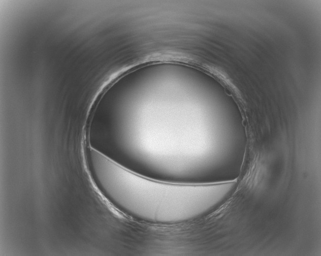 X0000055981040200508190724