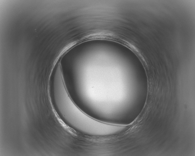 X0000055981042200508190724