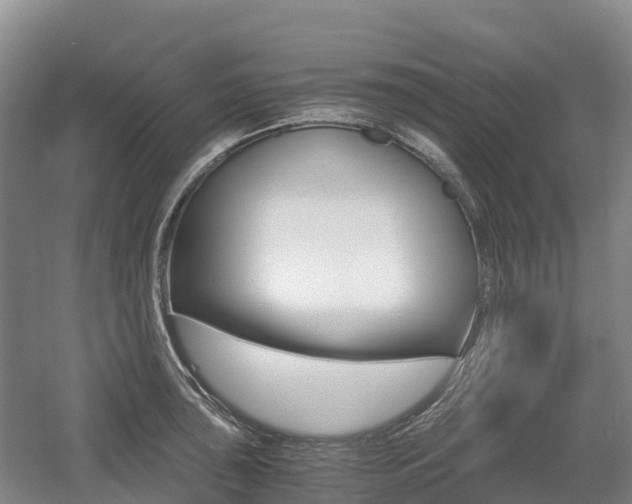 X0000055981043200508190724