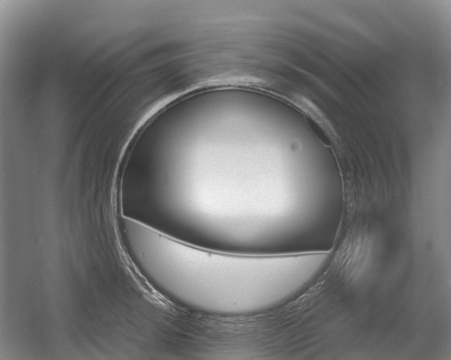X0000055981044200508190724
