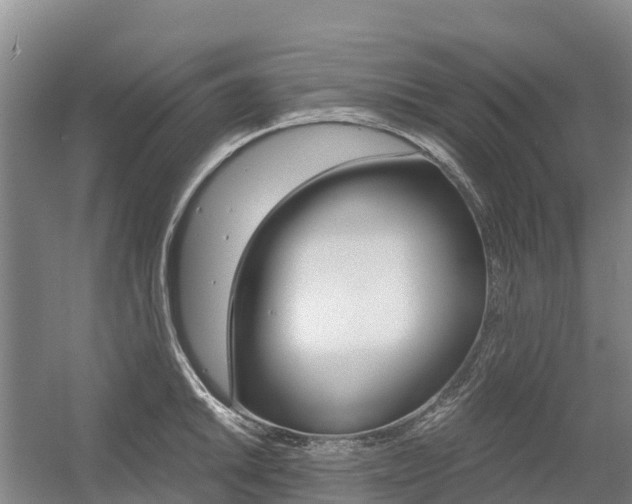 X0000055981046200508190724