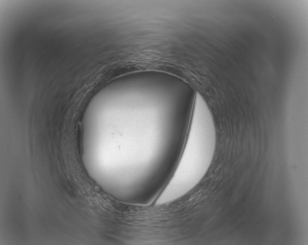 X0000055981057200508190723