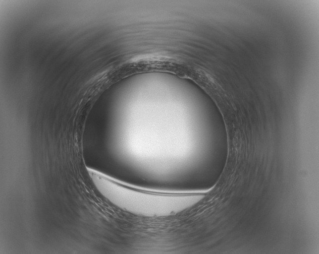 X0000055981062200508190723