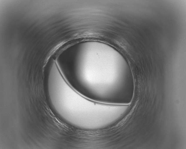 X0000055981066200508190723