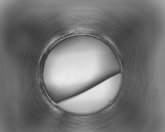 X0000055981075200508190723