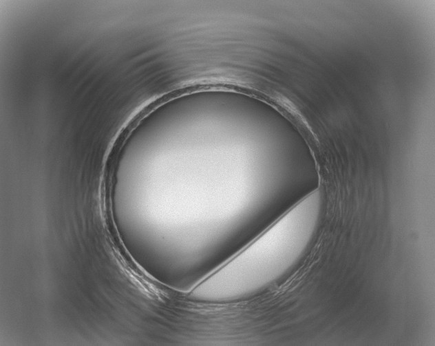X0000055981076200508190723