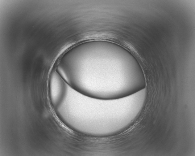 X0000055981079200508190723