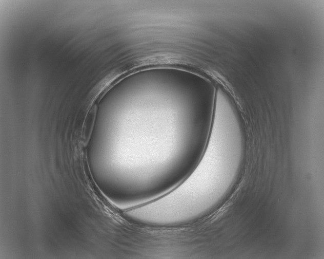 X0000055981081200508190723