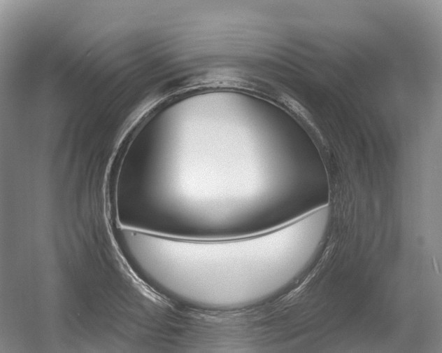 X0000055981082200508190723