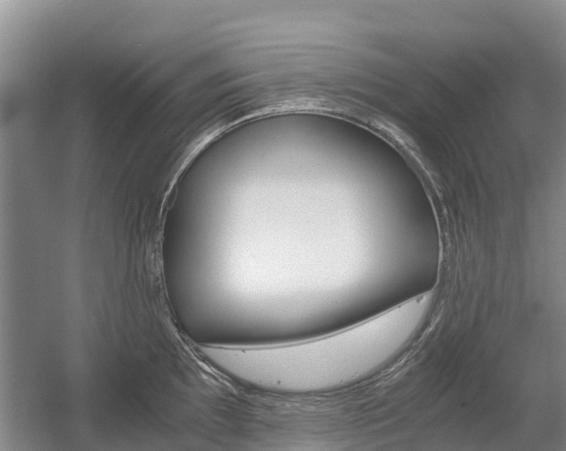 X0000055981097200508190723