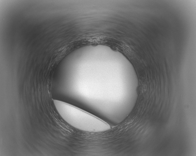 X0000055981106200508190722