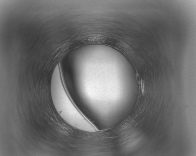 X0000055981107200508190722