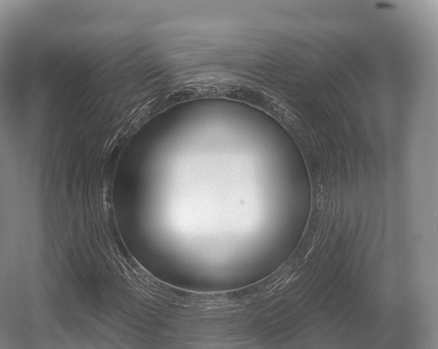 X0000055981108200508190722