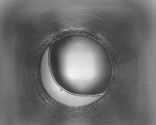 X0000055981110200508190722