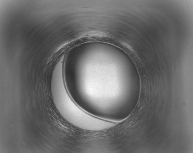 X0000055981112200508190722