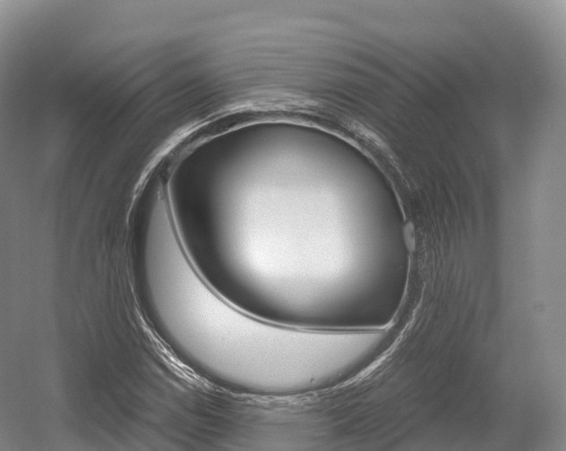 X0000055981114200508190722