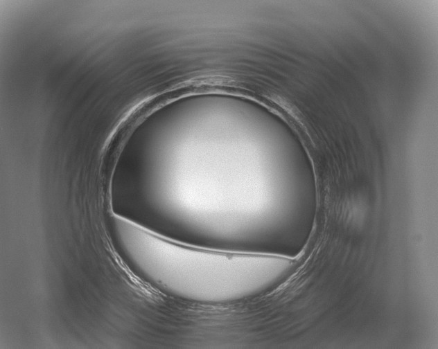 X0000055981115200508190722