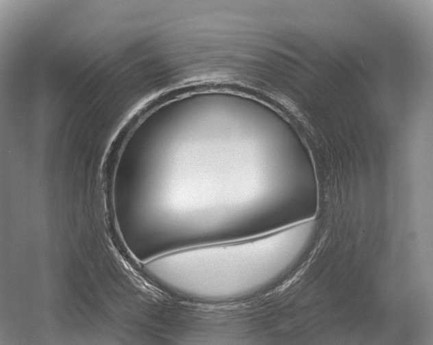 X0000055981118200508190722