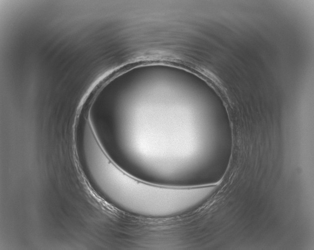 X0000055981120200508190722