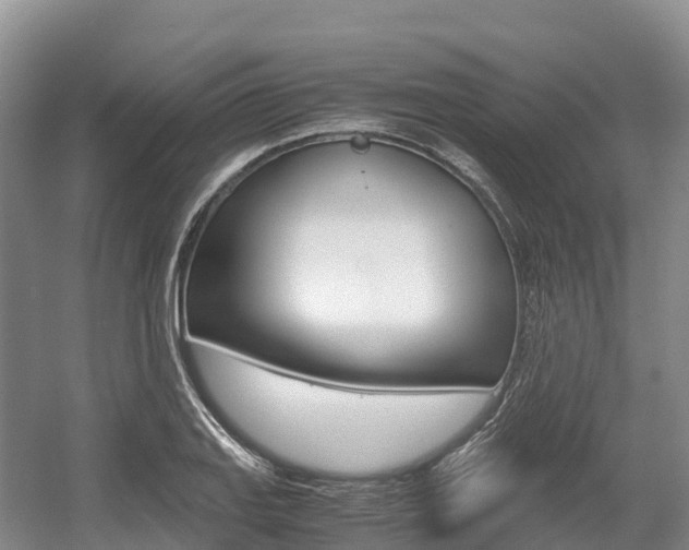 X0000055981127200508190722