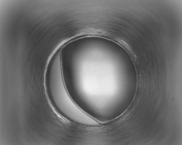 X0000055981128200508190722