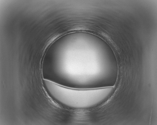 X0000055981129200508190722