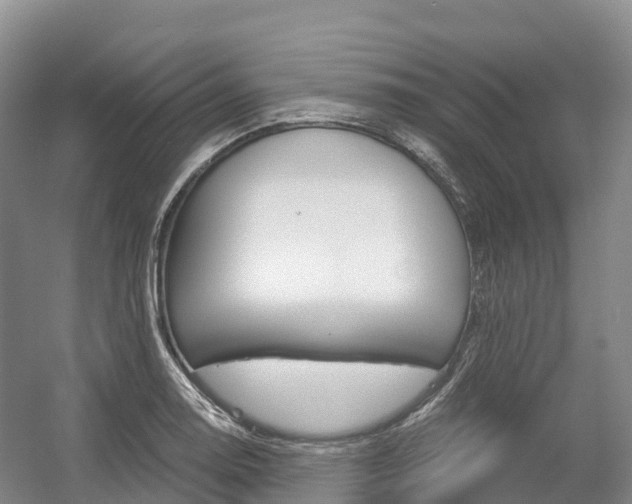 X0000055981130200508190722