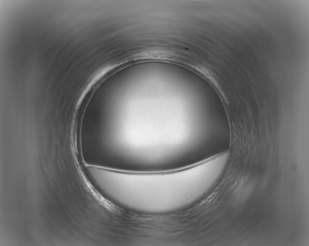 X0000055981131200508190722
