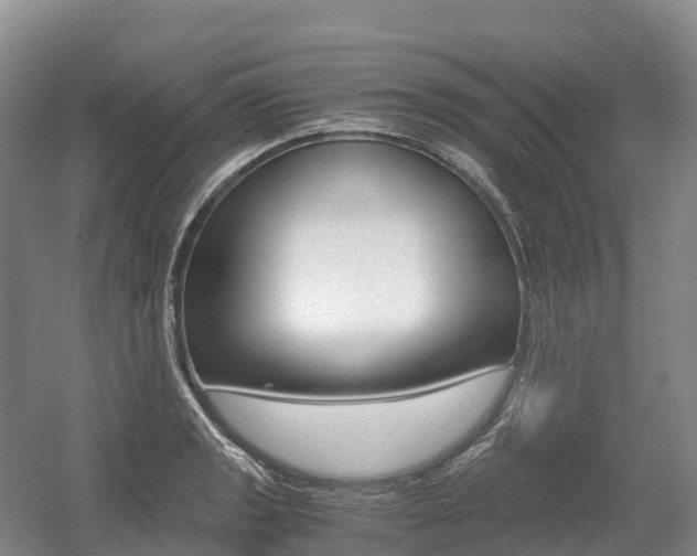 X0000055981133200508190722