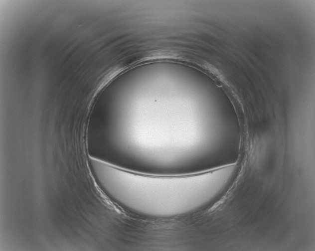 X0000055981137200508190722