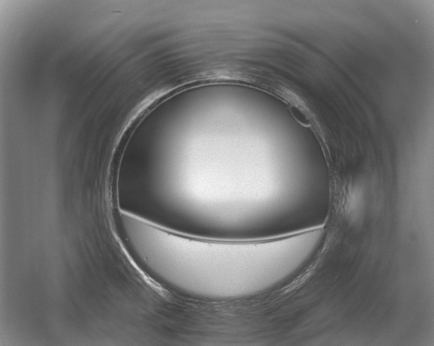 X0000055981141200508190722