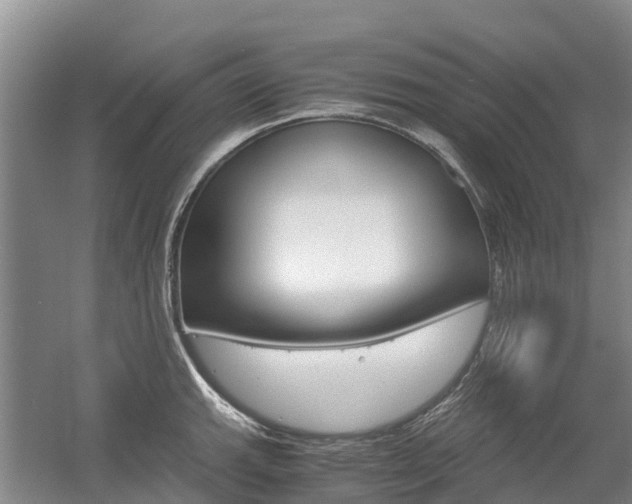 X0000055981143200508190722