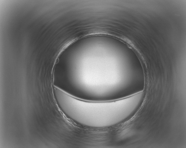 X0000055981145200508190722