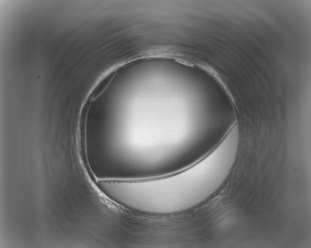 X0000055981147200508190722
