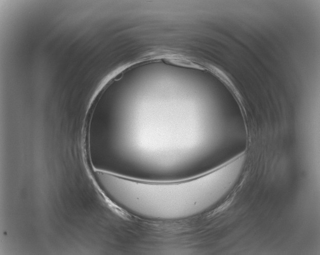 X0000055981149200508190723