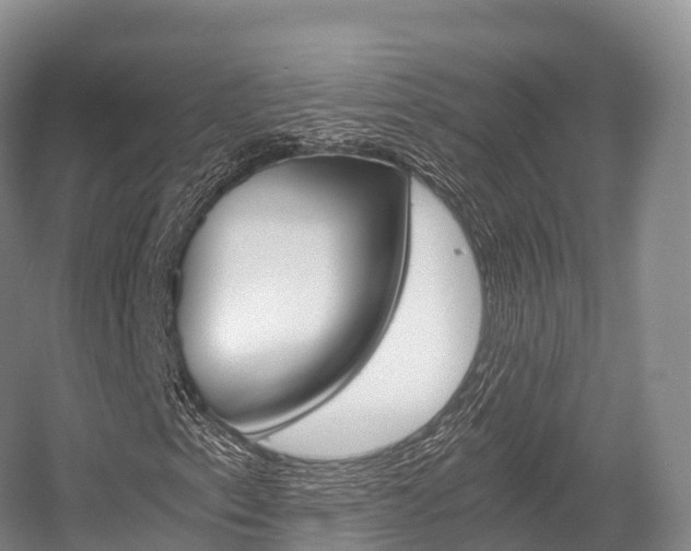 X0000055981153200508190722
